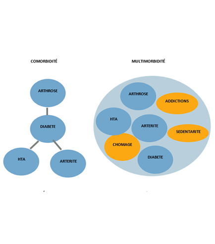 Comorbidité multimorbidité