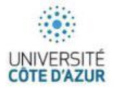 Université Côte d'Azur